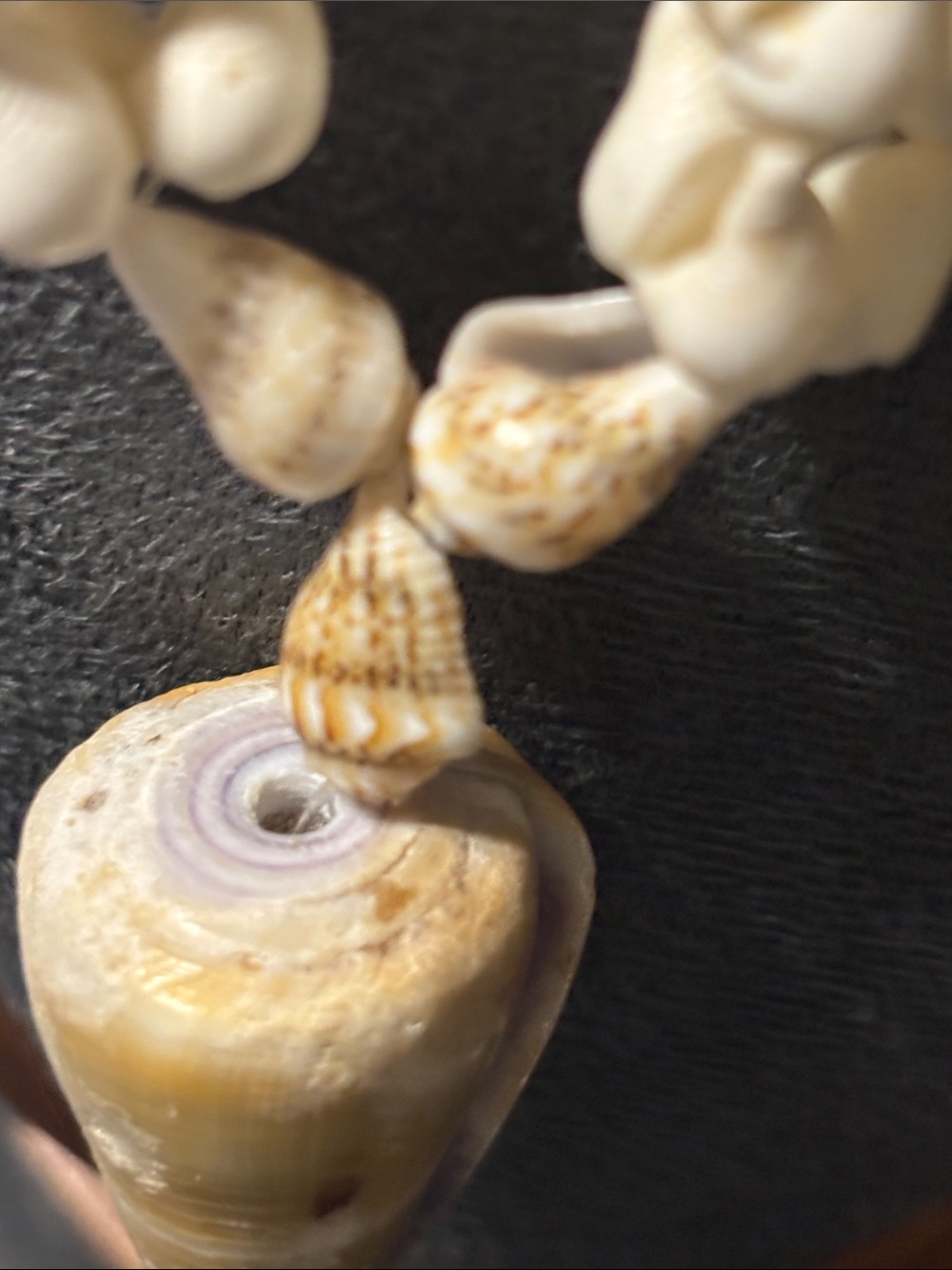 Natural Hawaiian Lei Style Conch Cowrie Cone Shell Pendant Necklace Cream Tan - Picture 5 of 16